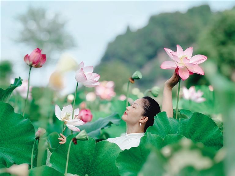 栗溪村的花與鳥